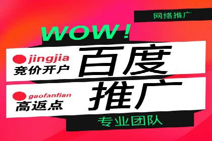 某行业头部企业信息流广告推广全解析